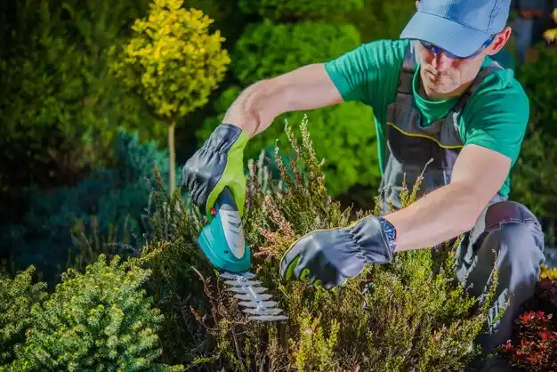 landscaping services Verdigre